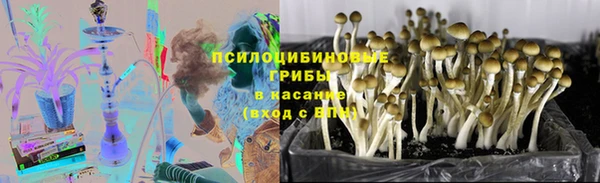 спайс Каменка