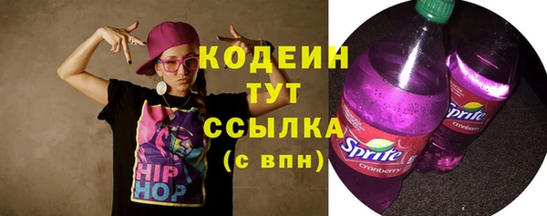молекула духа Каменногорск