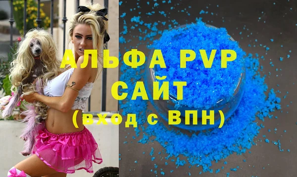 молекула духа Каменногорск