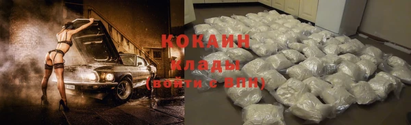 спайс Каменка