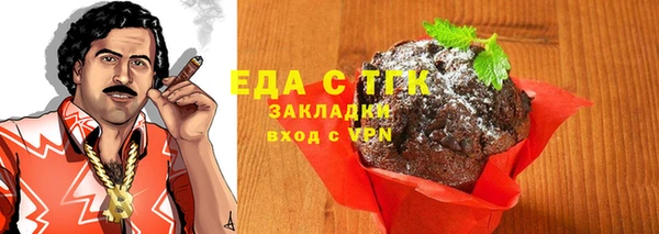 спайс Каменка