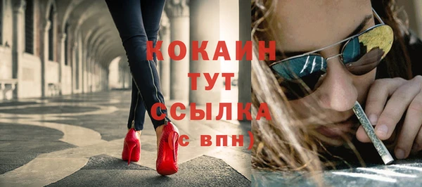 молекула духа Каменногорск