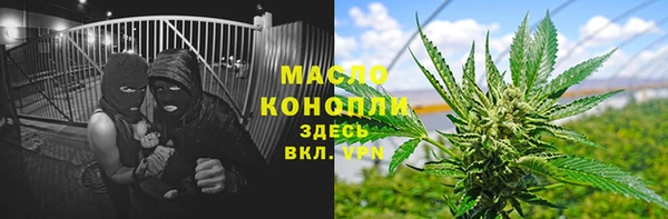 спайс Каменка