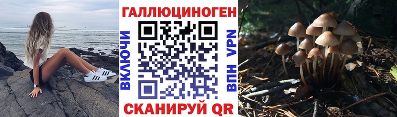 Галлюциногенные грибы MAGIC MUSHROOMS  Купить  Гаджиево 